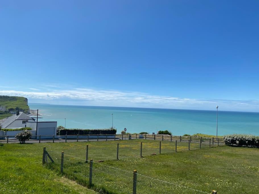 Grande Maison Chaleureuse Avec Vue Mer Imprenable Criel-sur-Mer Eksteriør billede